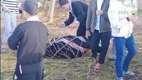 LỄ RƠI ĐÀI (LỄ TRƯỞNG THÀNH p3) VĂN HÓA CỔ TRUYỀN DÂN TỘC DAO ĐẦU BẰNG LAI CHÂU