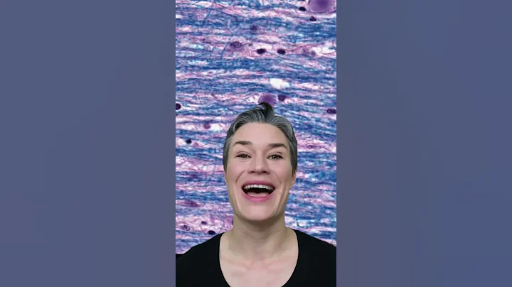 Transform Your Tissue Image Analysis with HistoSuite Tools 3-Part Webinar Series w/ Andrew Janowczyk