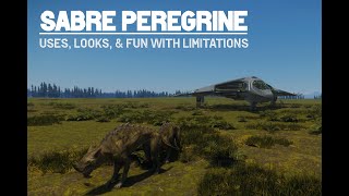 Aegis Sabre Peregrine uses, looks, & fun with limitations 3.24 LIVE Star Citizen