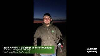 Soil Temperature in Corn: A Cold Weather Analysis