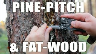 Finding and Making Fatwood