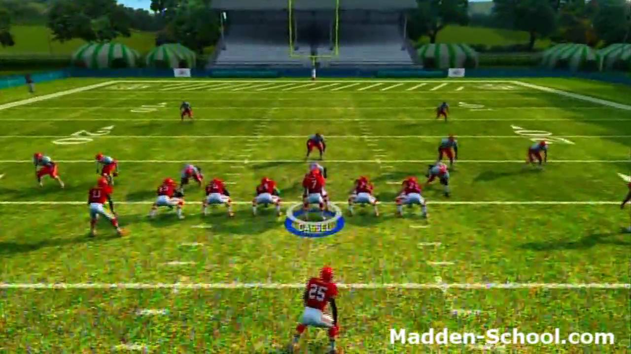 Singleback F Pair twins- PA FL Dive