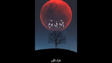 سورة السجدة القارئ ـ اسلام صبحي /الجزء الاول
