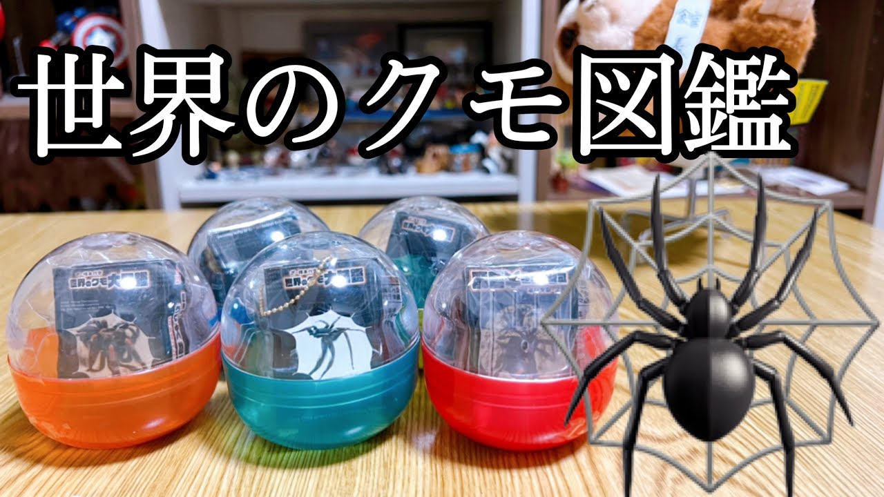 虫注意 フィギュアが入った小さな図鑑 ざ 標本シリーズ世界のクモ大図鑑 238 Youtube