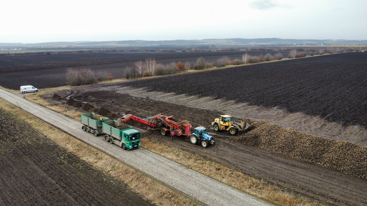 Nakládka řepy pro cukrovar Vrbátky