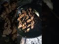 # tasty toh opai nai#