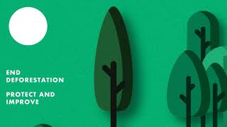 Deforestation - PSA