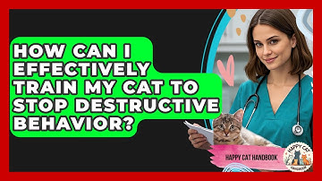 How Can I Effectively Train My Cat To Stop Destructive Behavior? - Happy Cat Handbook