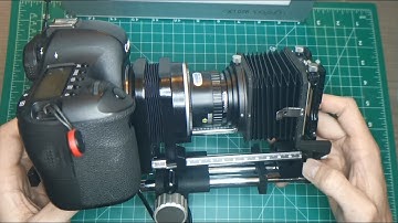 DSLR + Slide Copier = 35mm Film Scanner