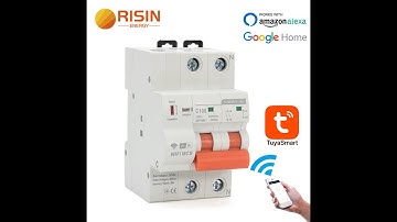 Risin Wifi MCB Switch Circuit Breaker Industrial Remote Control By Tuya Alexa Google Home