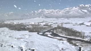After Effects and Particular Snow Effect