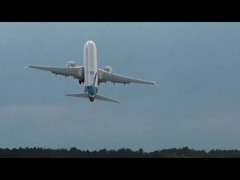 فيديو: هل لدى طيران نيوزيلندا طائرات بوينج 737 ماكس 8؟