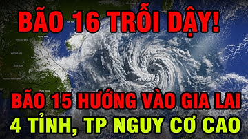 HỎA TỐC: BÃO SỐ 15 BẤT NGỜ HƯỚNG VÀO GIA LAI, 4 TỈNH ỨNG PHÓ KHẨN CẤP