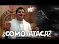 LA ESTRATEGIA DE SATANAS - Padre Bernardo Moncada
