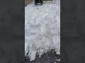 RC car in the snow