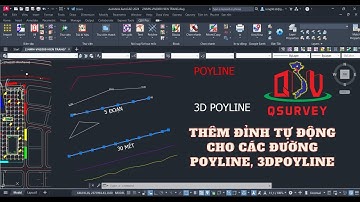 🌎 THÊM ĐỈNH TỰ ĐỘNG CHO CÁC ĐƯỜNG POYLINE, 3DPOYLINE [TBDPL]