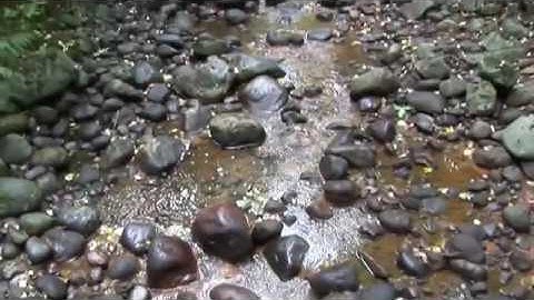 Introduction to Innovative Stormwater Management