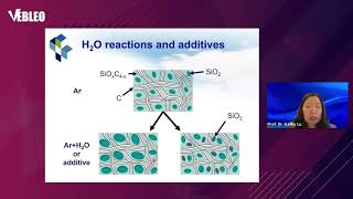Prof. Dr. Kathy Lu | Virginia Tech | United States | Lecture | #Vebleo