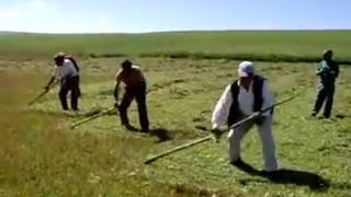 Karsta Pi̇çi̇n Vakti̇