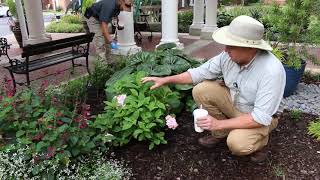 For The Beauty of the Earth: A Tour of Still Hopes' Grounds