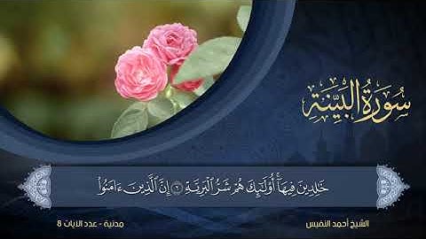 سورة البينة - أحمد النفيس Surat Al-Bayyina - Ahmed Al-Nafees 99