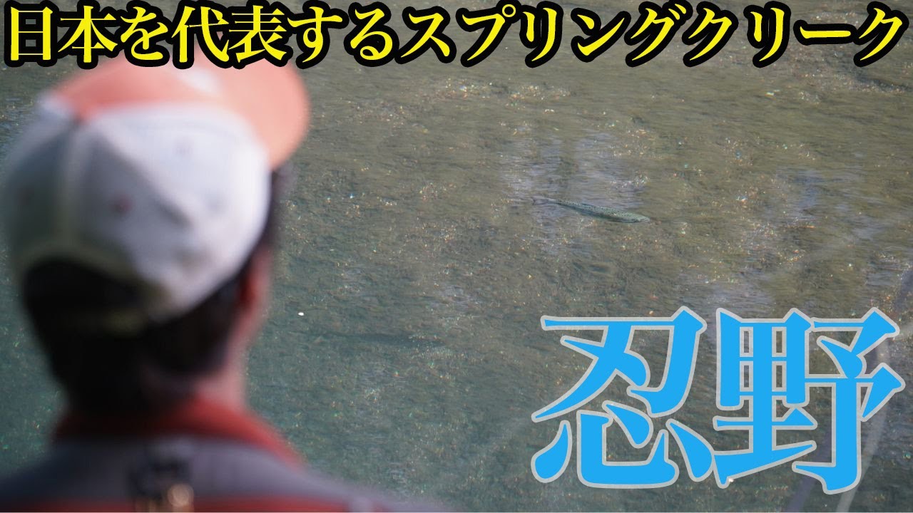 【高橋章＆市村晃】日本を代表するスプリングクリーク・忍野【桂川忍野地区】