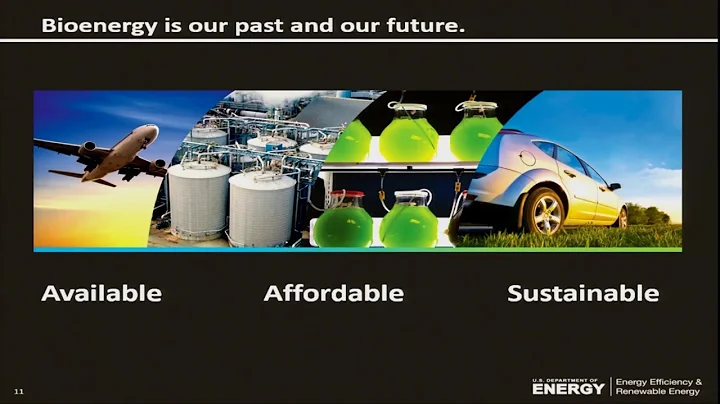 EnergyTalks- Bioenergy: Our Past, Our Future