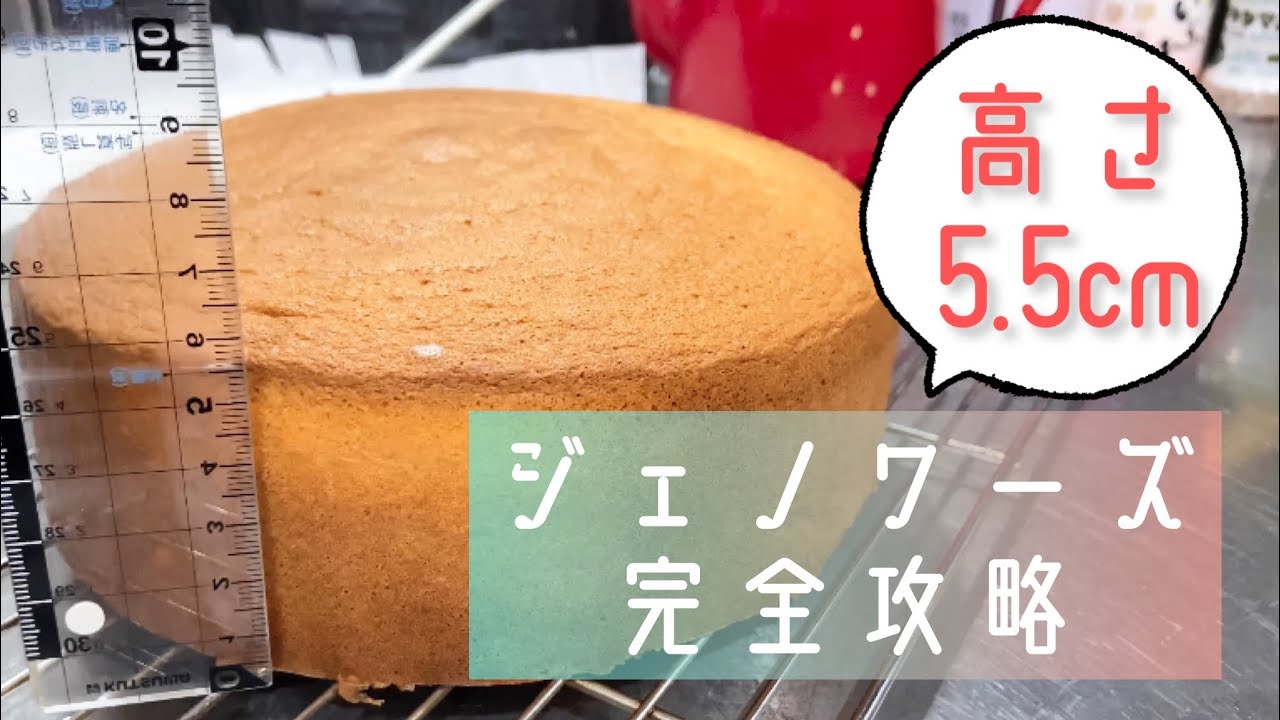 【同時進行用ノーカット動画】スポンジケーキの練習にどうぞ！ジェノワーズ完全攻略