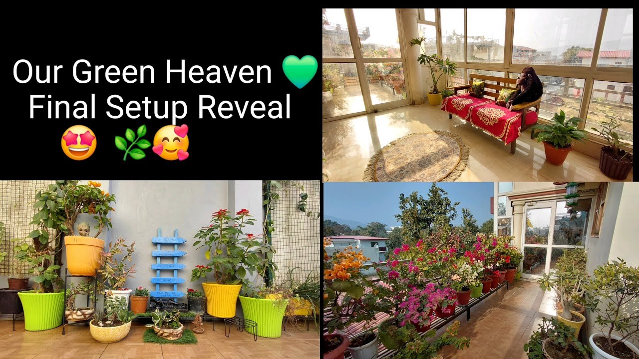 Terrace Garden Full Setup | Plants Arrangements 🪴 👌 | 