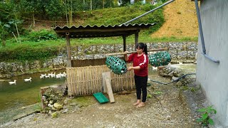 Download Lagu Take the ducks to the market to sell them, buy things to decorate the wooden house, and cook. MP3