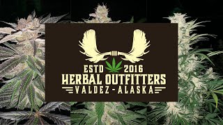 Herbal Outfitters Unboxing Packaged Cannabis Order!