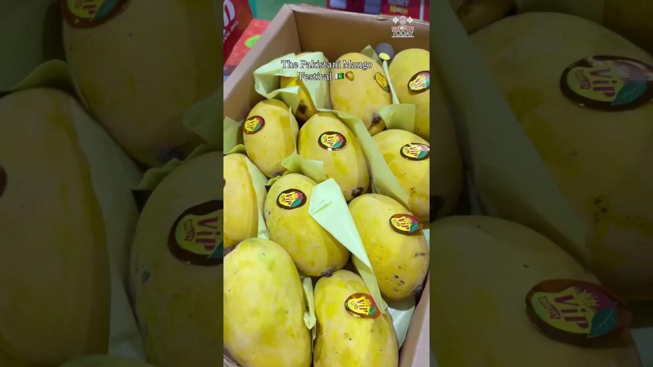 Pakistani Mango Festival 2025 - Gulf Times Today