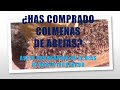 COLMENAS DE ABEJAS COMPRADAS- REVISIÓN DESPUÉS DE 12 DÍAS DE HABER ENTRADO AL INVENTARIO (Parte 2)
