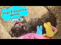 Unit 9 — Let’s Focus on High Frequency Words!