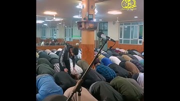 يَسْأَلُونَكَ عَنِ السَّاعَةِ أَيَّانَ مُرْسَاهَا ۖ  سورة الاعراف صلاة التراويح مسجد الاحسان