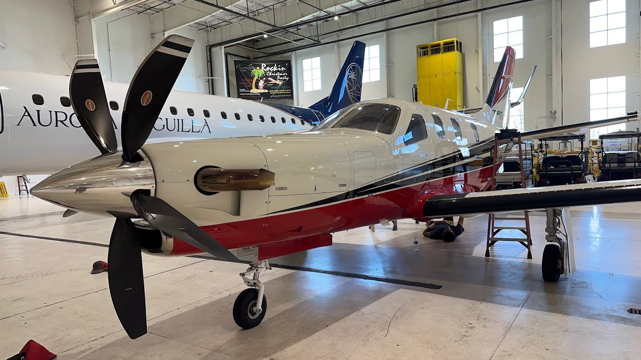 Airplane Ceramic Coating So Fresh & So Clean Detailers Naples, FL