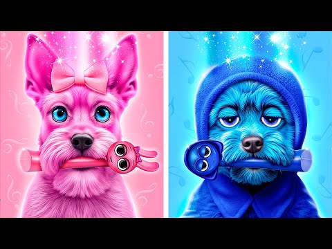 Secret Home Coloring Challenge for Pets! Blue vs Pink!