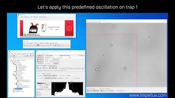 Optical trap oscillations with LightAce - SENSOCELL optical tweezers. By IMPETUX.