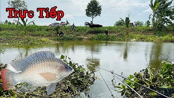Câu Cá Kênh Tự Nhiên Rất Đông
