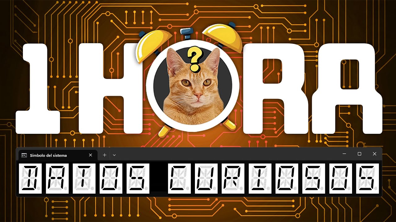 1 HORA de DATOS CURIOSOS y COSAS QUE NO SABÍAS ⏰😲