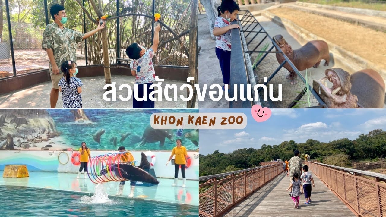 รีวิวที่พักระยองติดทะเล|Aquatic Rayong บุฟเฟต์ซีฟู้ด ไม่อั้น!|บริการเรือนำเที่ยว รอบเกาะ#travel - YouTube