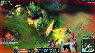 Bard Tunnel Bait