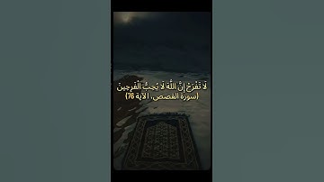 لَا تَفْرَحْ إِنَّ اللَّهَ لَا يُحِبُّ الْفَرِحِينَ(سورة القصص، الآية 76)