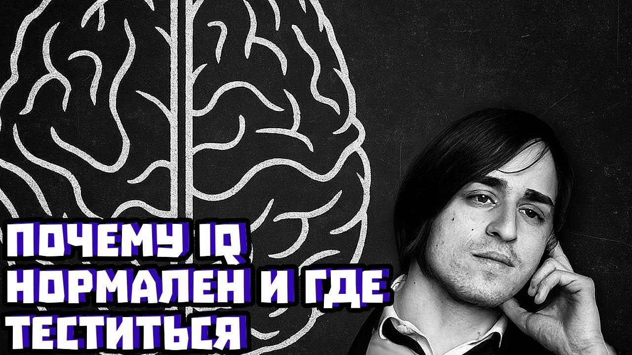 Почему IQ нормален и где теститься | Владимир Алипов
