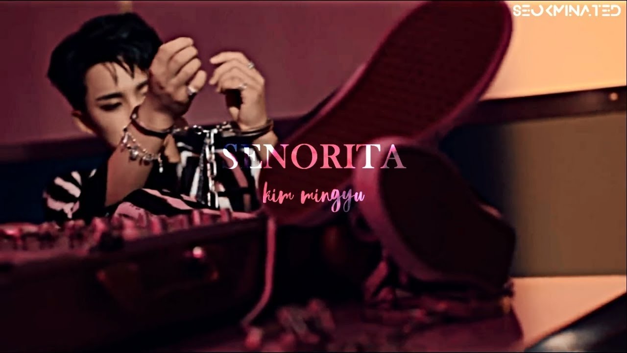 señorita ____ kim mingyu.