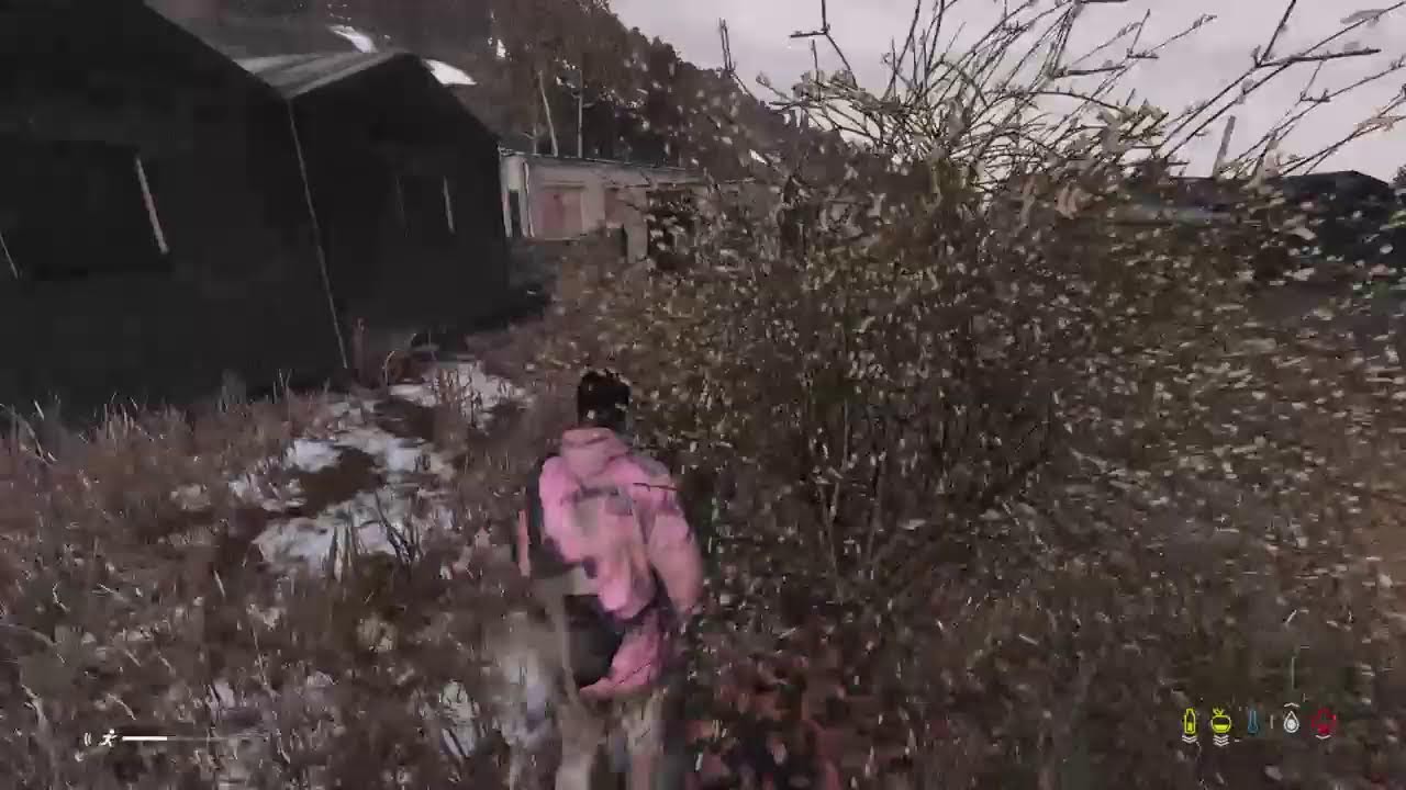 Volvemos a DayZ en shakal o chernarus o livonia, ¿cual sera?