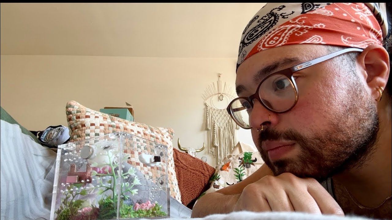 FAILED — My Jumping Spider Hates Me