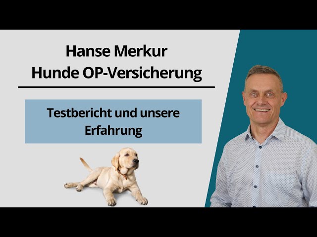 Beste HanseMerkur Hunde OP Versicherung: Top Schutz für Ihren Vierbeiner! 3 sddefault
