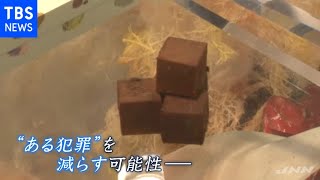 “ある犯罪”減らすチョコレート【news23】