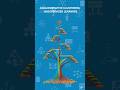 Agglomerative Clustering: The Bottom-Up Approach in Unsupervised Learning|Day 22/100